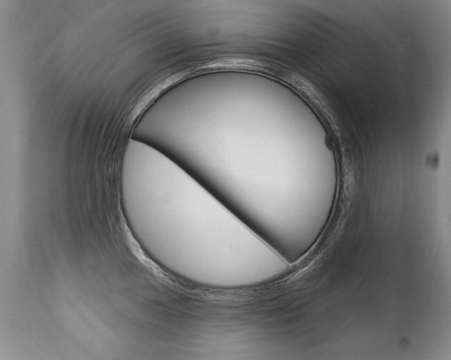 X0000112461049200908171011