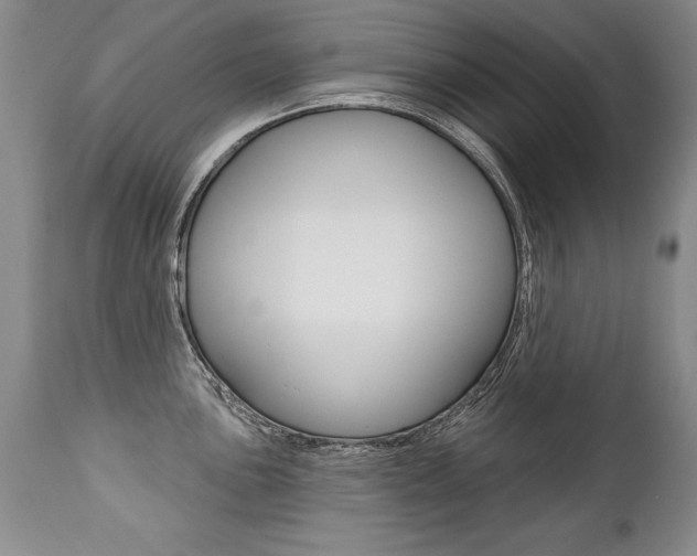 X0000112461051200908171011