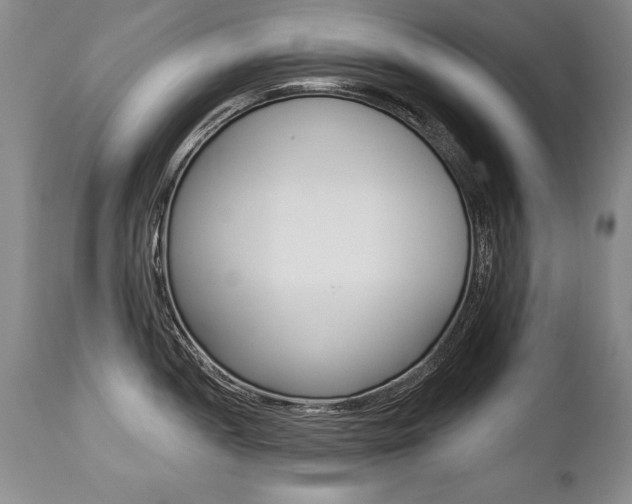 X0000112461052200908171011