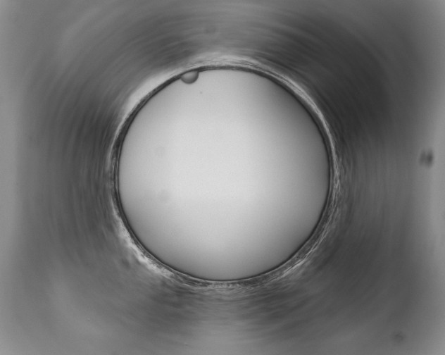 X0000112461053200908171011