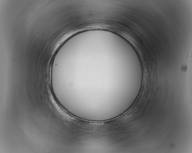 X0000112461055200908171011