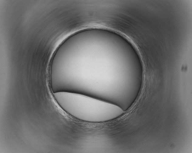 X0000112461056200908171011