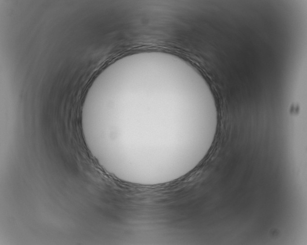 X0000112461057200908171010