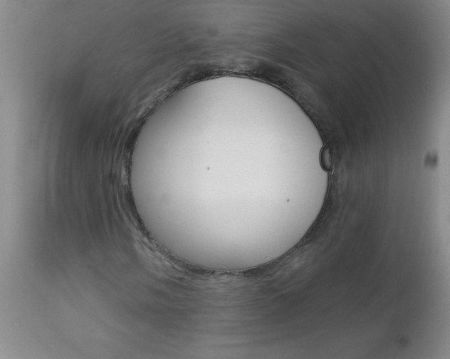 X0000112461058200908171010