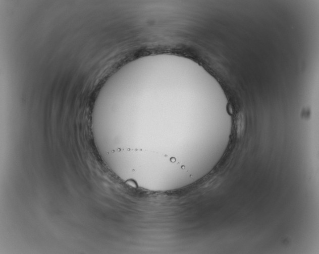 X0000112461059200908171010