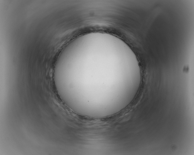 X0000112461061200908171010