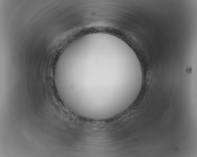 X0000112461062200908171010