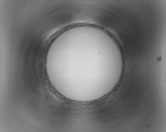 X0000112461064200908171010