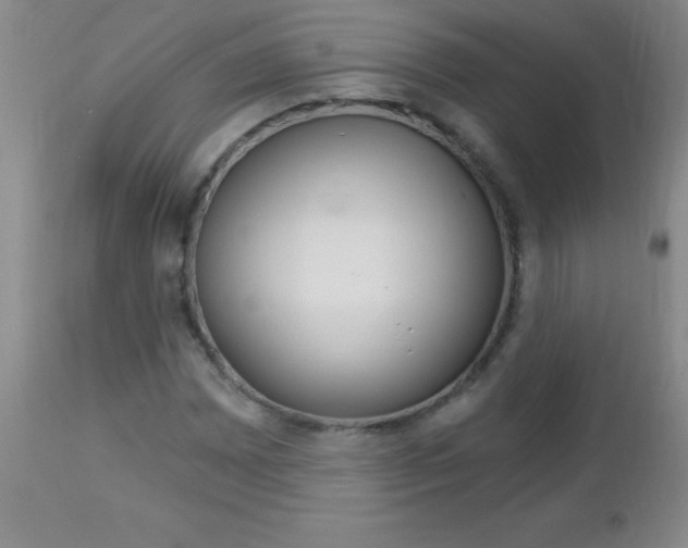 X0000112461065200908171010