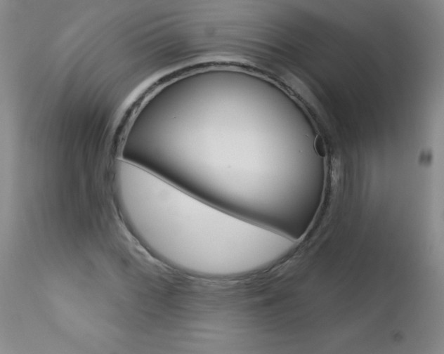 X0000112461068200908171010