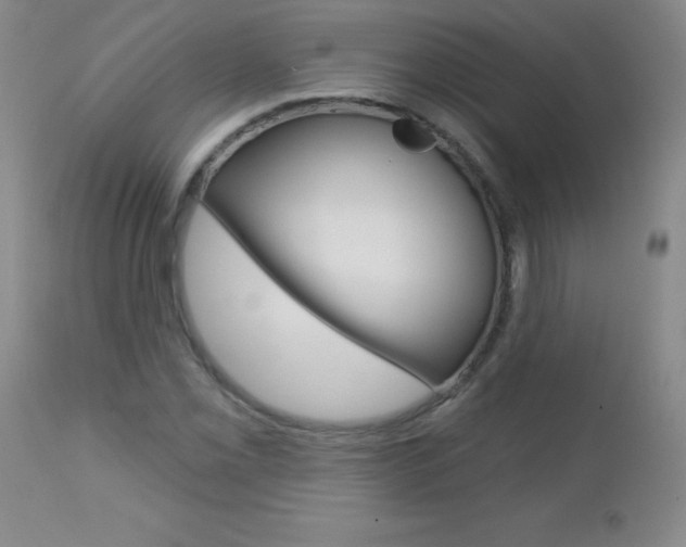 X0000112461069200908171010