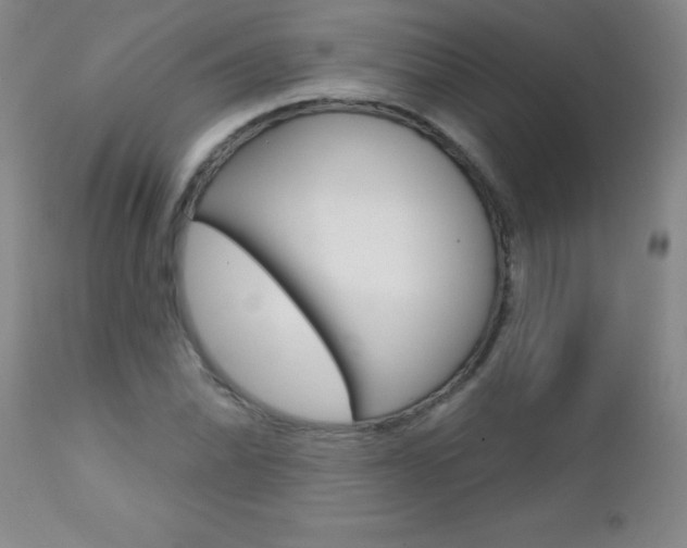 X0000112461070200908171010
