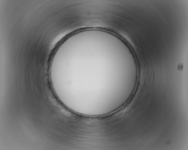 X0000112461071200908171010