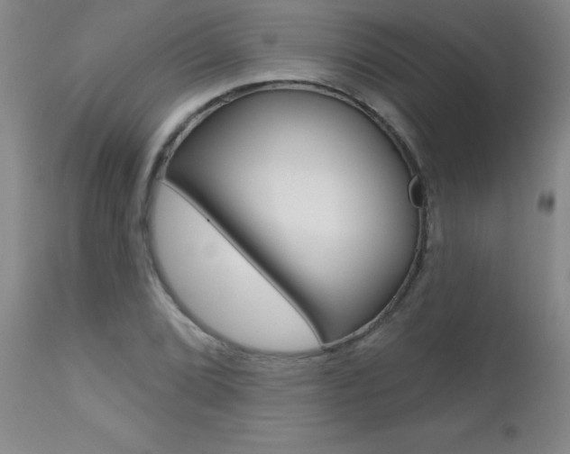X0000112461072200908171010
