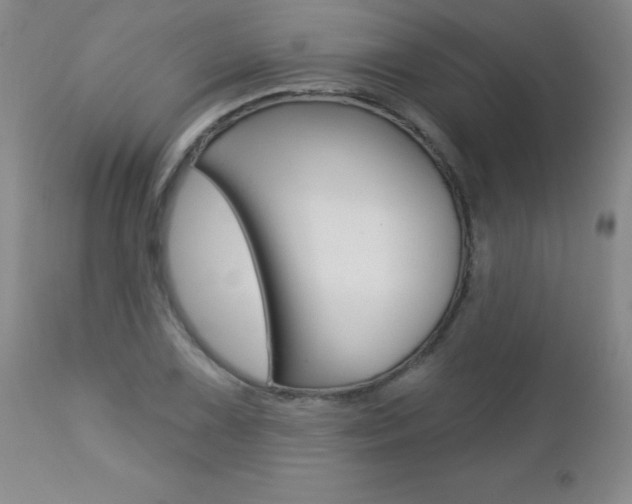 X0000112461075200908171010