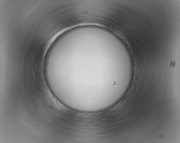 X0000112461076200908171010