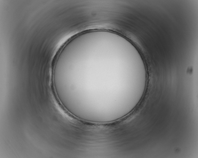 X0000112461079200908171010