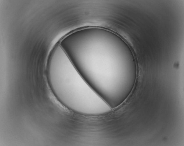 X0000112461080200908171010
