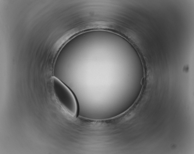 X0000112461081200908171010