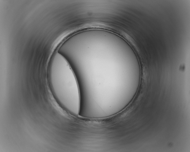 X0000112461082200908171010