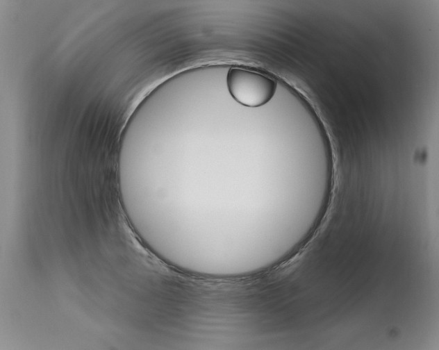 X0000112461089200908171010