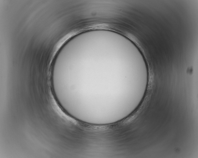 X0000112461090200908171010