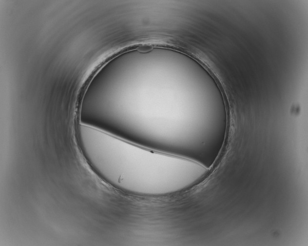 X0000112461093200908171010