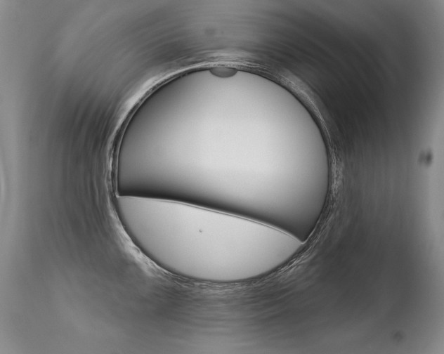 X0000112461099200908171010