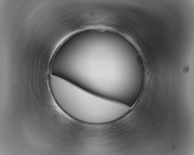 X0000112461100200908171010