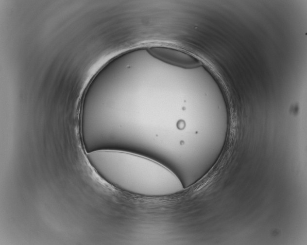 X0000112461102200908171010