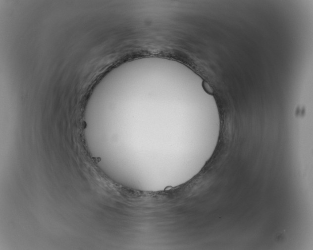 X0000112461105200908171009