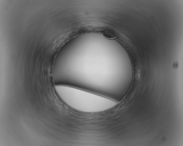 X0000112461108200908171009