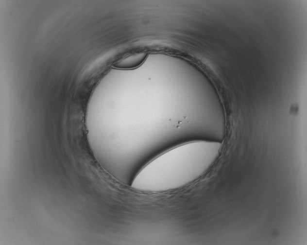 X0000112461111200908171009