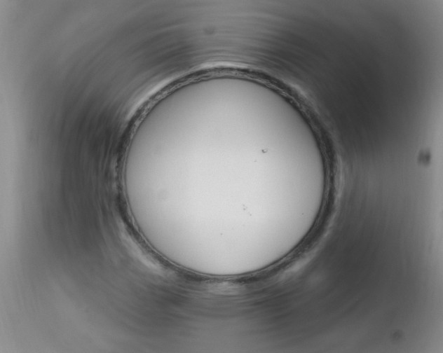 X0000112461113200908171009