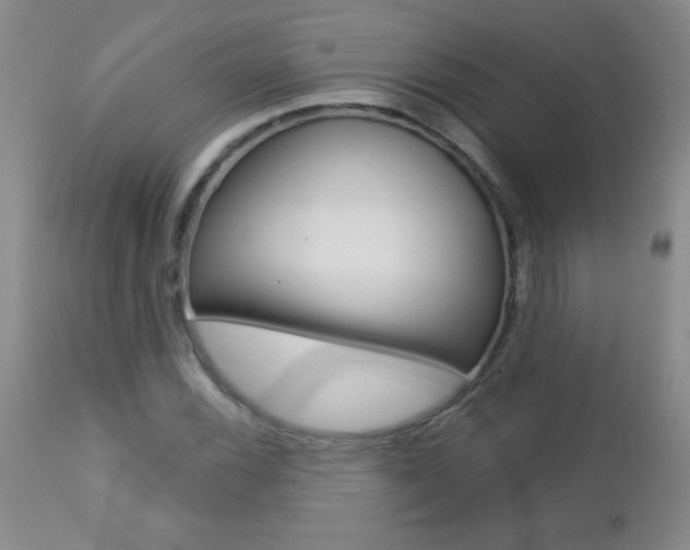 X0000112461116200908171009