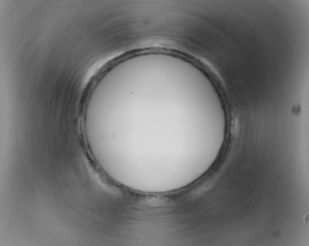 X0000112461117200908171009