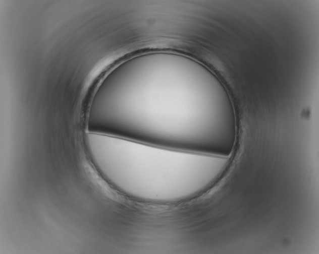 X0000112461122200908171009