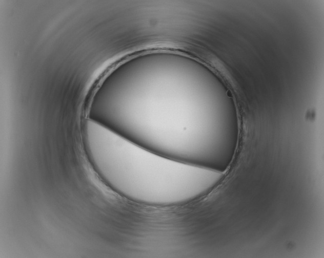 X0000112461124200908171009