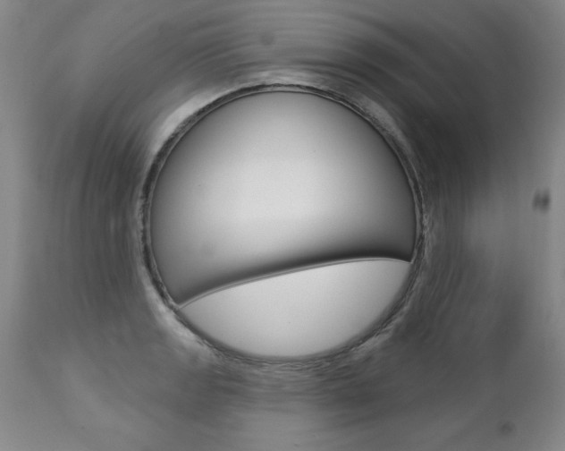 X0000112461133200908171009