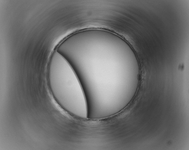 X0000112461134200908171009