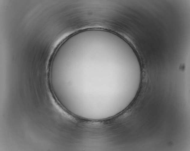 X0000112461135200908171009