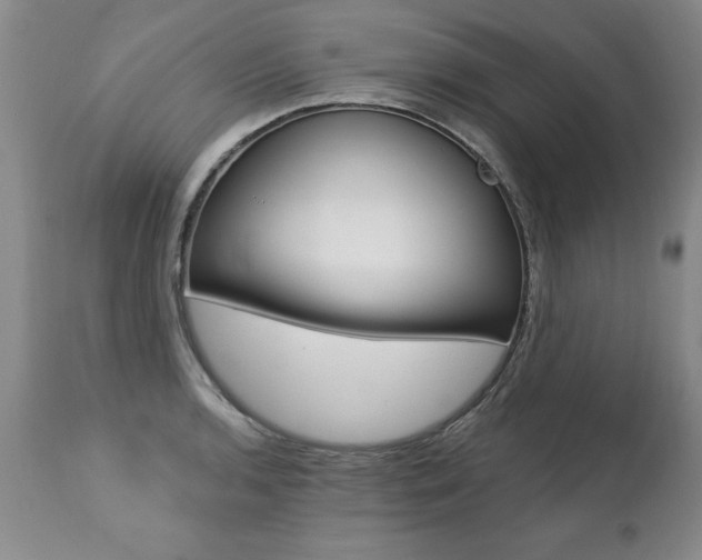 X0000112461136200908171009