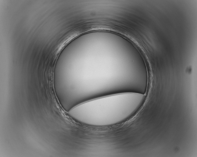 X0000112461145200908171010