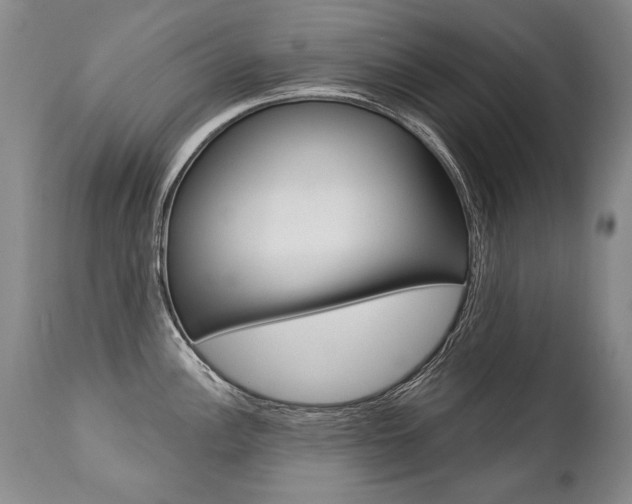 X0000112461148200908171010