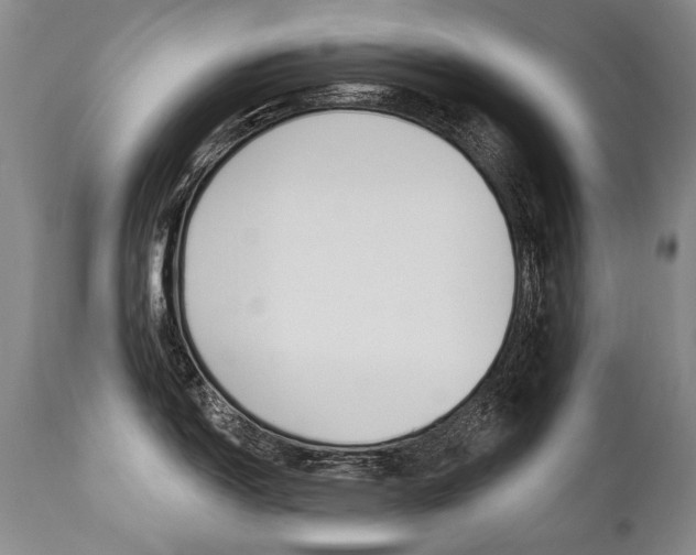 X0000112461150200908171010