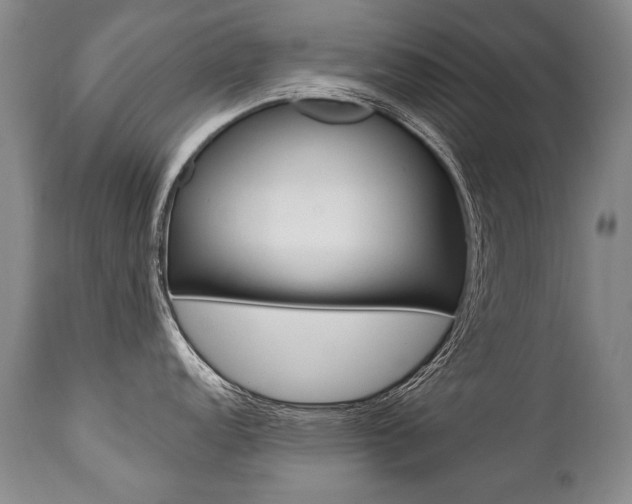 X0000112461152200908171010