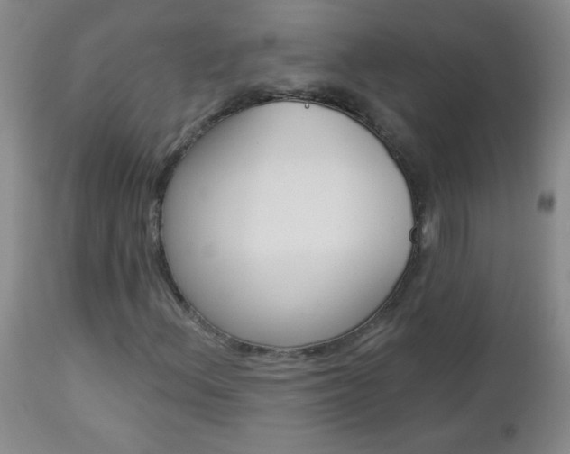 X0000112461156200908171009