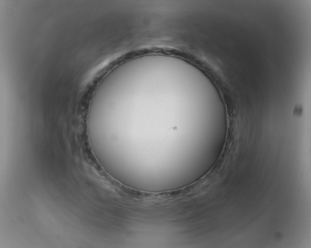 X0000112461159200908171009