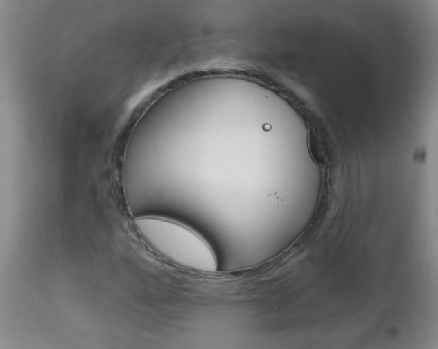 X0000112461160200908171009