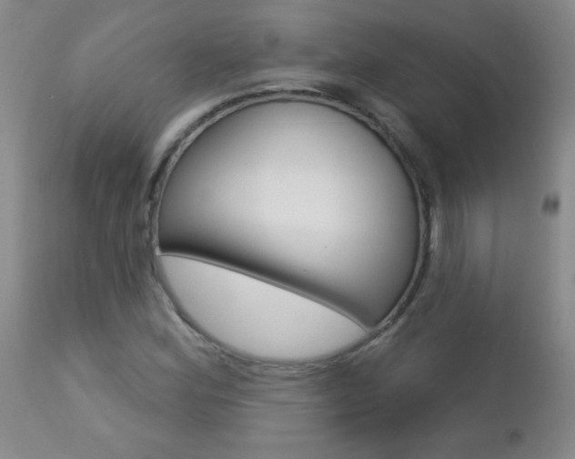X0000112461164200908171009